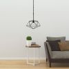 1 Light 16" Modern Metal Wire Paragon Hanging Ceiling Pendant Fixture, Black