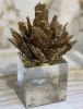 Home Decor Lily Gold Kyanite Ornament - Large