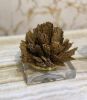 Home Decor Lily Gold Kyanite Ornament - Small