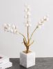 Home Decor Mia Orchid Branch Ornament