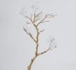 Home Decor Sana Selenite Flower Tree