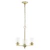 3-Light 15" Contemporary Clear Glass and Metal Hanging Ceiling Pendant Chandelier for Kitchen Island Foyer Hallway Living Room Den Dining Room, Gold