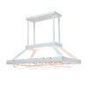 Ceiling 2 Light LED Overhead Wine Rack, White