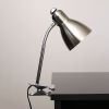 Adjustable Clip Light Desk Lamp, Brushed Nickel