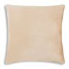 Noah Beige Silver Velvet Pillow