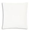 Noah White Silver Velvet Pillow