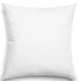 Pillow Insert - 22x22