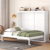 Modern Queen Size Wall Murphy Bed, White