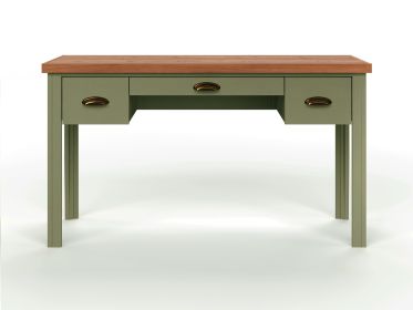 Bridgevine Home Vineyard 53 inch Writing Desk, No Assembly Required, Sage Green and Fruitwood Finish