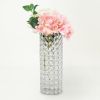 Elipse Crystal and Chrome Decorative Vase