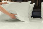 Luxurious Viscose from 100% Bamboo 2-Piece Pillowcase Set Queen Cream