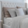 Luxurious Viscose from 100% Bamboo 2-Piece Pillowcase Set Queen Light Gray