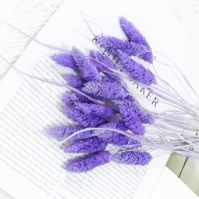 Dried Flowers Pampas Grass Mixed Bunny Rabbit Tail Lagurus Bouquet Wedding Christmas Decoration Natural Reed Flower Home Decora (Color: Gem purple, size: 30pcs)