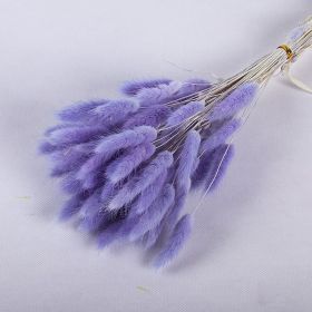 Dried Flowers Pampas Grass Mixed Bunny Rabbit Tail Lagurus Bouquet Wedding Christmas Decoration Natural Reed Flower Home Decora (Color: purple  rabbit tail, size: 30pcs)