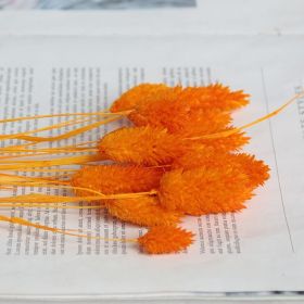 Dried Flowers Pampas Grass Mixed Bunny Rabbit Tail Lagurus Bouquet Wedding Christmas Decoration Natural Reed Flower Home Decora (Color: Gem orange, size: 30pcs)